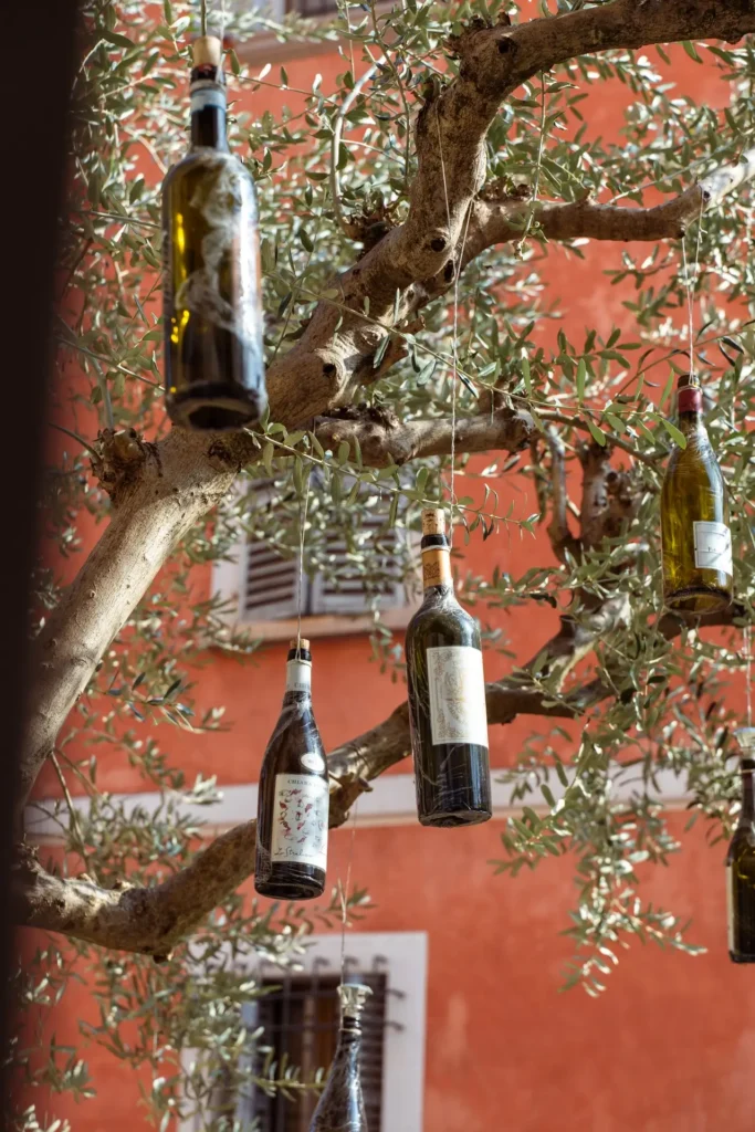 Bottiglie di vino appese a un ulivo nel giardino del Ristorante La Grotta a Brisighella, atmosfera tipica romagnola